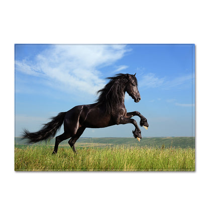 Dream Horse 3D Print Carpets For Living Room Bedroom