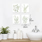 4PCS 8X10in,Botanical Plant Canvas Wall Art, Framed Boho Wall Decor For Bathroom, Minimalist Aesthetic Bedroom Wall Art